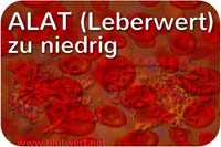 ALAT Laborwert zu niedrig