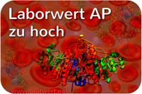 Blutwert AP erhöht / zu hoch