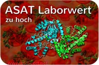 Laborwert ASAT erhöht, zu hoch