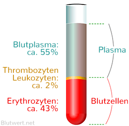 Blut Zusammensetzung