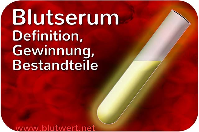 Blutserum - Unterschied zu Vollblut und Blutplasma
