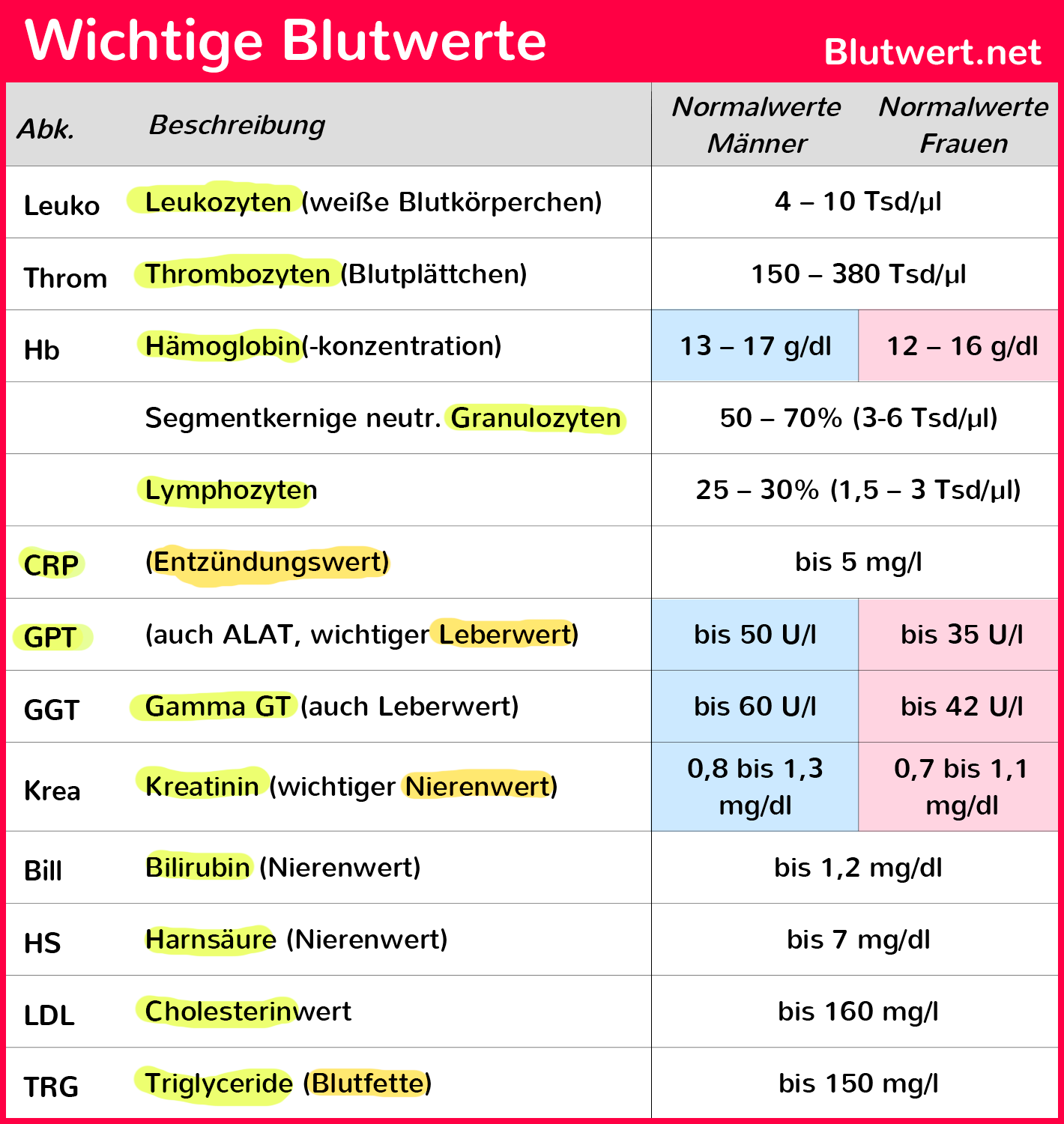 Blutwerte labor abkürzungen Blutwerte &