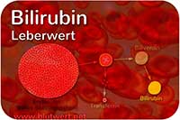 Bilirubin Wert