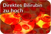 Laborwert Direktes Bilirubin erhöht, zu hoch