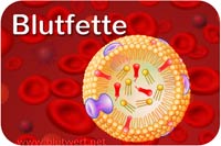 Blutfette