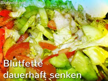 Blutfette senken