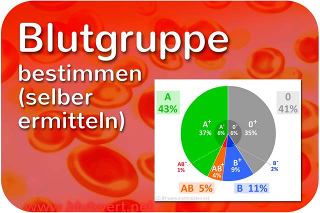 Blutgruppe bestimmen