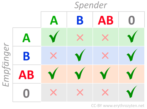 Blutgruppen Tabelle