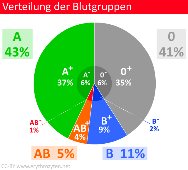 Blutgruppen-Verteilung in Deutschland