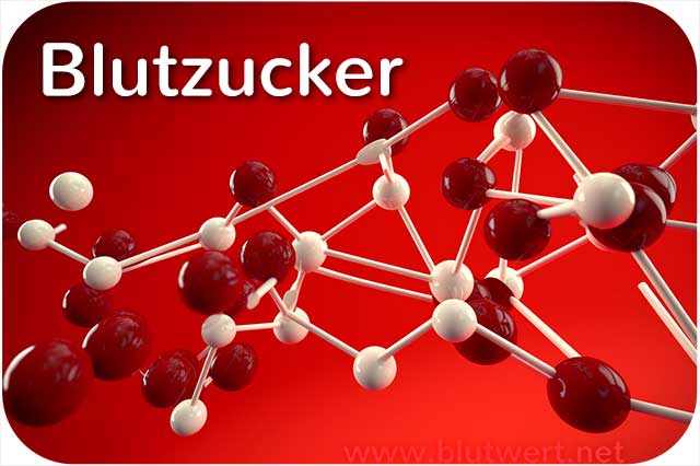 Blutzucker als Blutwert, Blutzuckerspiegel