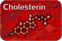 Cholesterin Laborwert