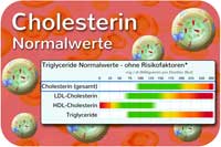 Cholesterin Laborwert