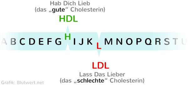 HDL - LDL Unterschied (Merkspruch)