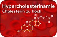 Hypercholesterinämie