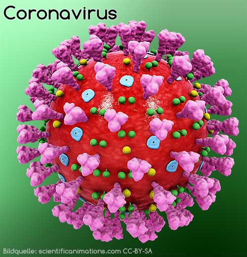 Coronavirus