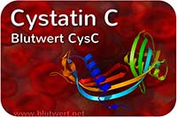 Cystatin C (Blutwert CysC)