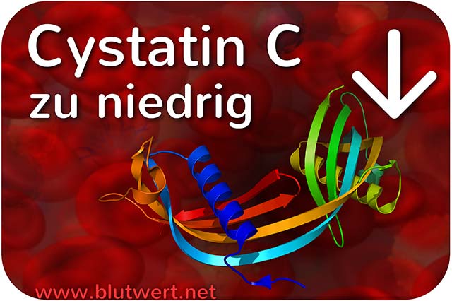 Cystatin C (Blutwert CysC) vermindert / zu niedrig