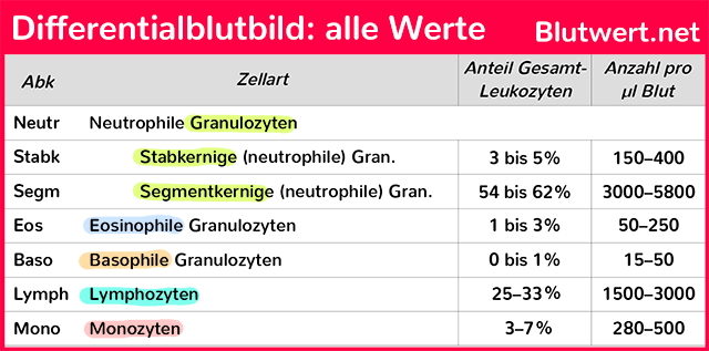 Differentialblutbild: alle Werte