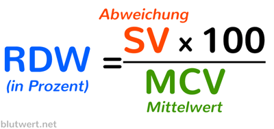RDW Berechnung (Erythrozytenverteilungsbreite)