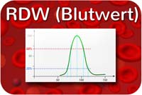 RDW Blutwert