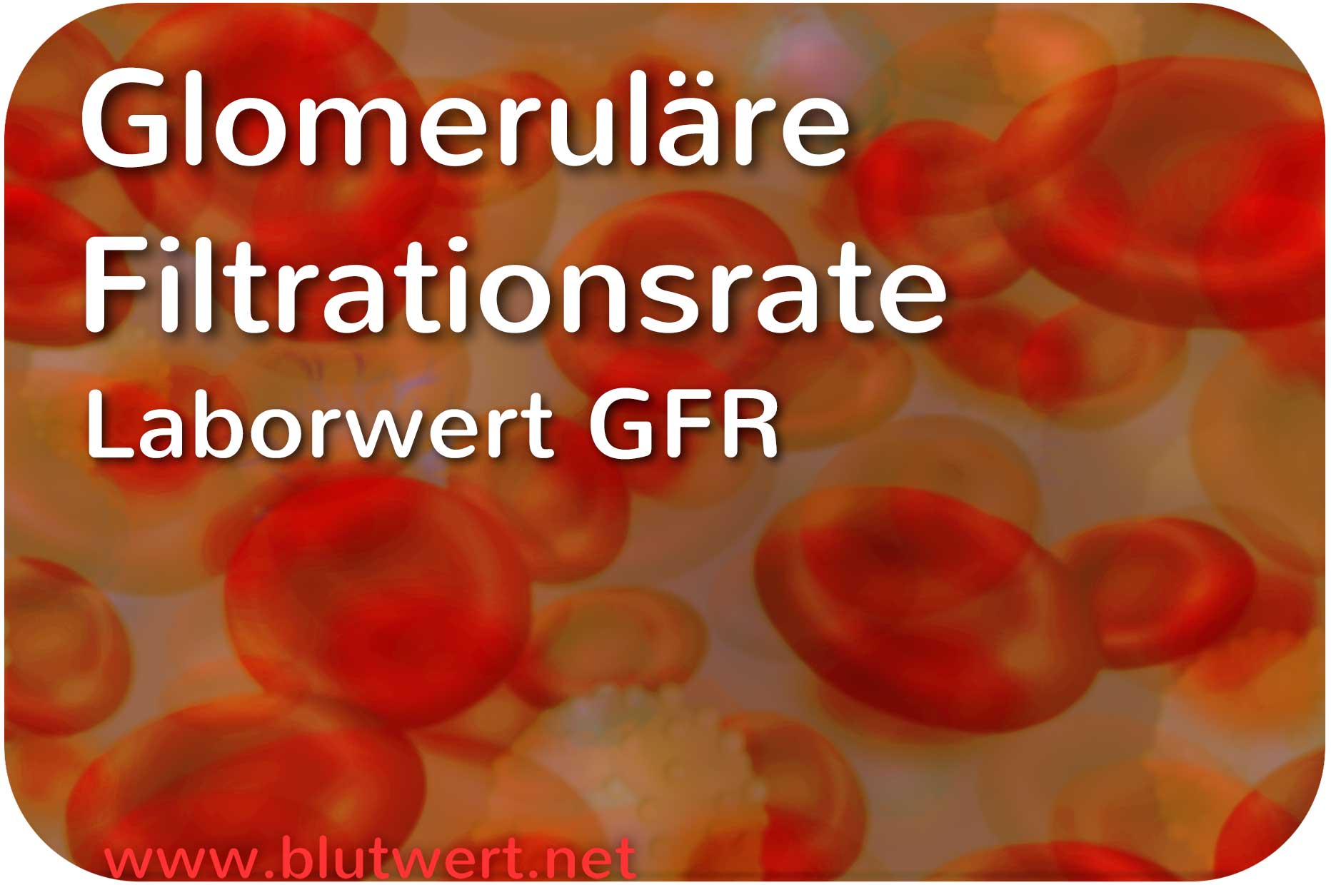 Glomerul re Filtrationsrate Laborwert GFR Glomerul re Filtrationsrate Laborwert GFR