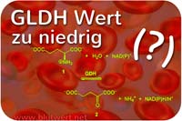 GLDH Laborwert vermindert / zu niedrig