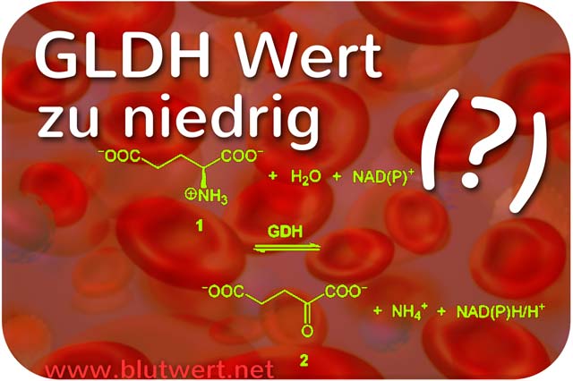 GLDH Wert vermindert / zu niedrig