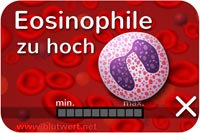 Zu viele Eosinophile Granulozyten, Blutwert zu hoch