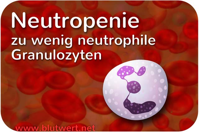 Neutropenie