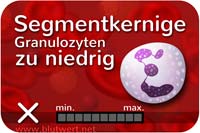 Segmentkernige Granulozyten zu niedrig