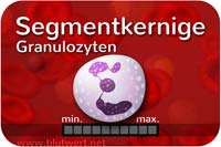 Segmentkernige Granulozyten