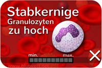 Stabkernige Granulozyten zu hoch