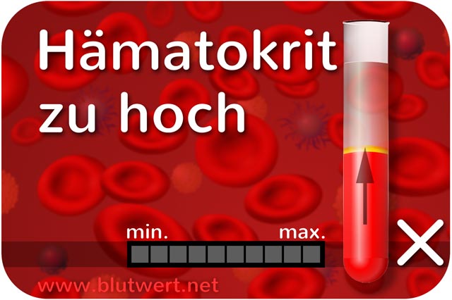Blutwert Hämatokrit (Hkt) zu hoch / erhöht