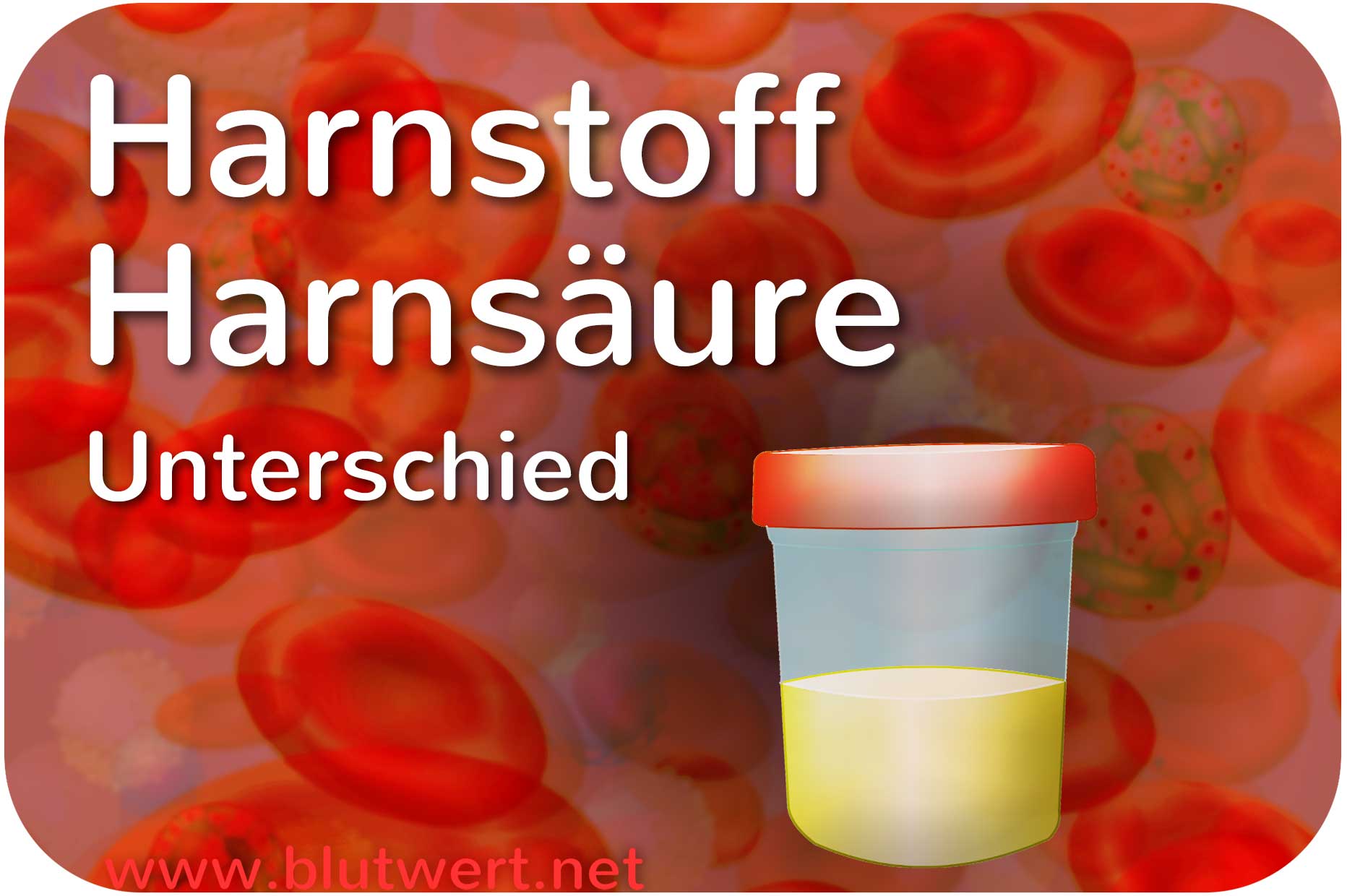 Unterschied zwischen Harnstoff und Harnsäure