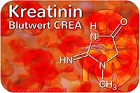 Kreatinin (Blutwert KREA / CREA)