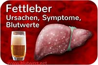 Fettleber