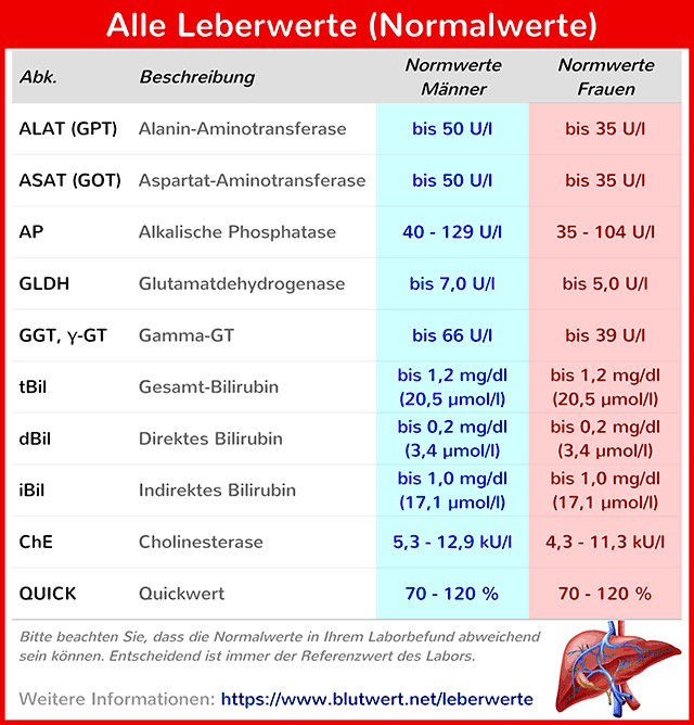 Gt schnell gamma senken wert Wie äußern