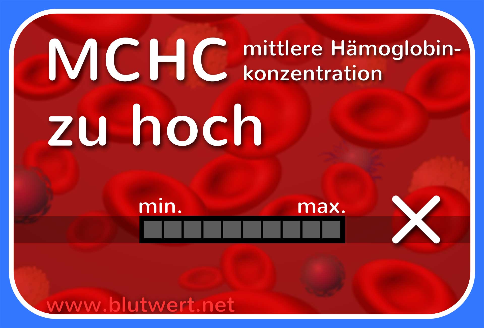 Blutwert MCHC erhöht durchschnittliche Hämoglobinkonzentration zu hoch