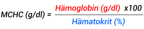 MCHC-Berechnung (Formel): Durchschnittliche Hämoglobinkonzentration