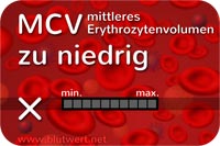 Erythrozytenvolumen (MCV) vermindert, zu niedrig
