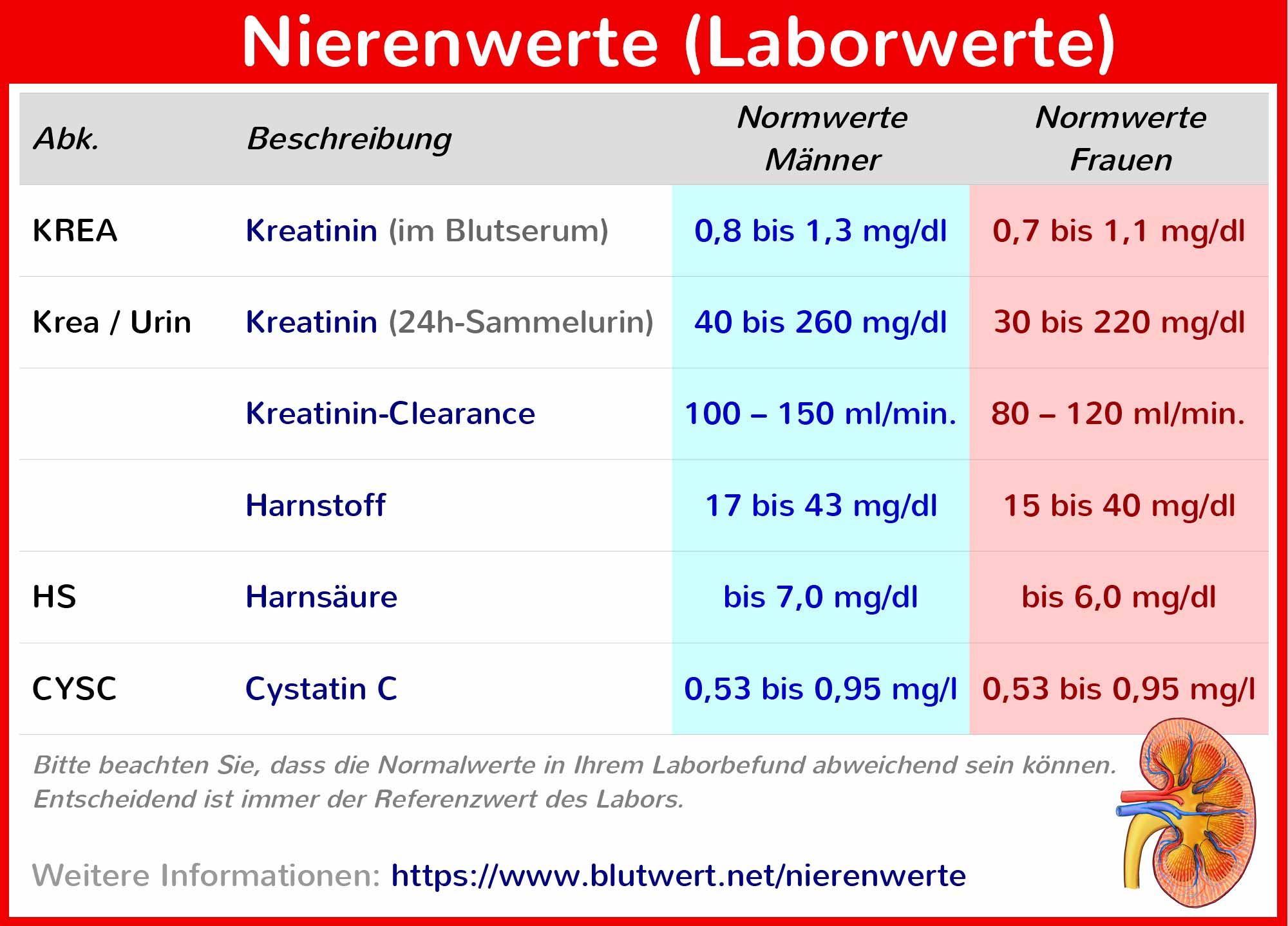 Nephrologie Wissenschaft Der Niere Und Ihrer Erkrankungen