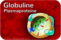 Plasmaproteine - Protein-Blutwerte