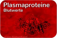 Plasmaproteine - Protein-Blutwerte