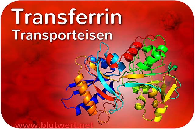 Transferrin