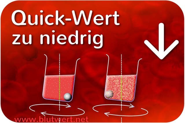 Quick-Wert vermindert / zu niedrig