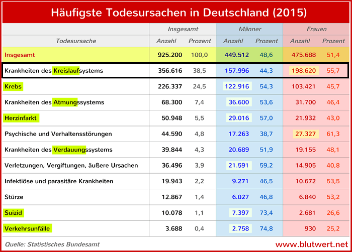 Arteriosklerose Ursachen Folgen Risiken Einfach Erkl rt Arteriosklerose Ursachen Folgen Risiken Einfach Erkl rt