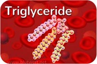 Triglyceride