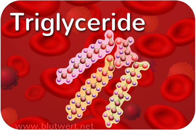 Triglyceride