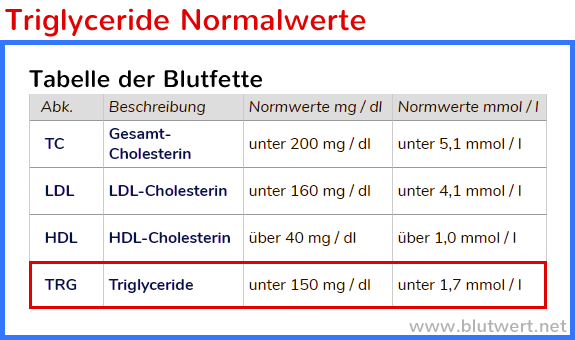 Triglyceride TRG Fette Gef hrlich Aber Wichtig