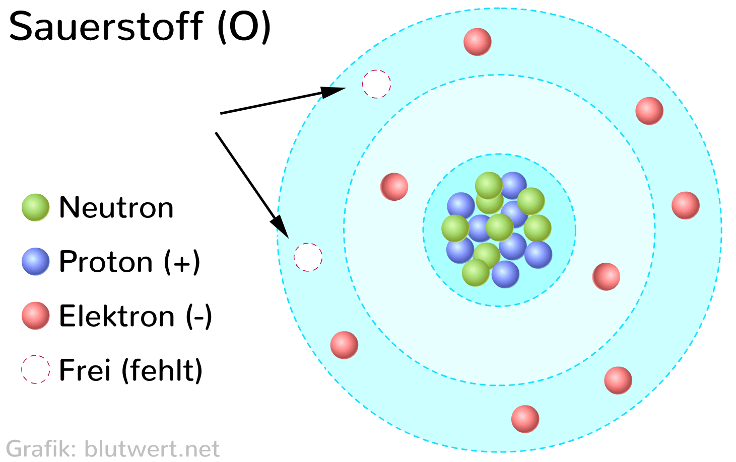 Sauerstoff (O) im Schalenmodell - so sieht es aus! – Wolfenthal